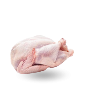 Whole turkey Indyk tuszka.png