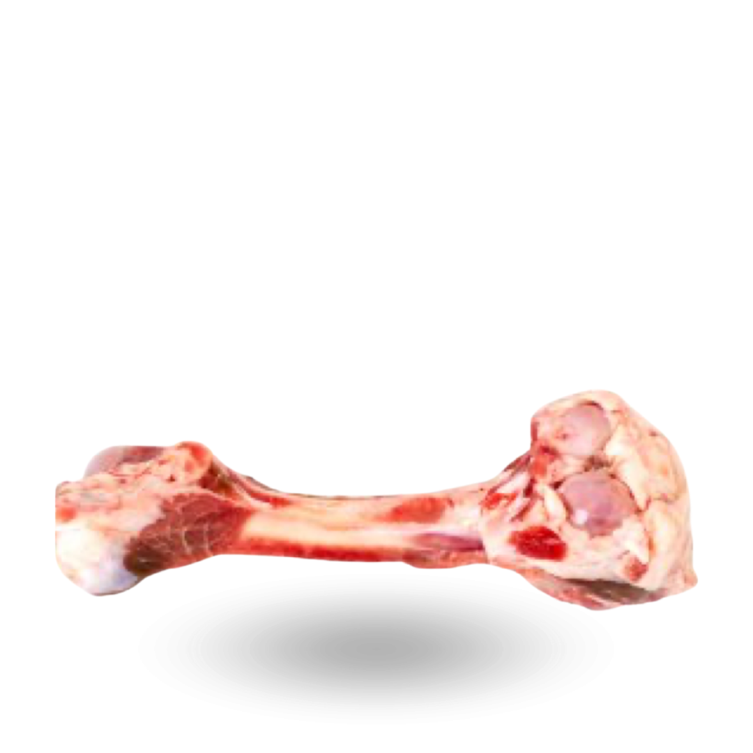 Beef femur bones_ Kości rurkowe z zadu.png