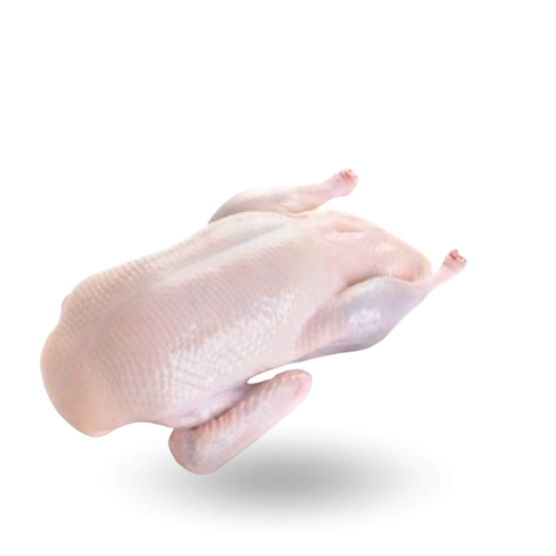 Whole duck Kaczka tuszka.png