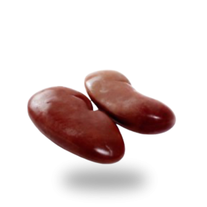 Pork kidneys Nerki.png