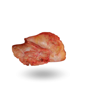 Wymiana wołowe kat. 3.png