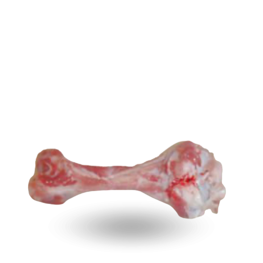 Pork femur bones Kości rurkowe z szynki.png