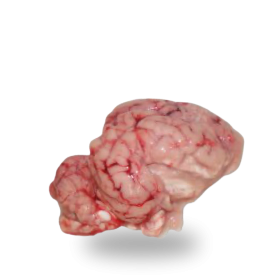 Pork brains Mózgi.png