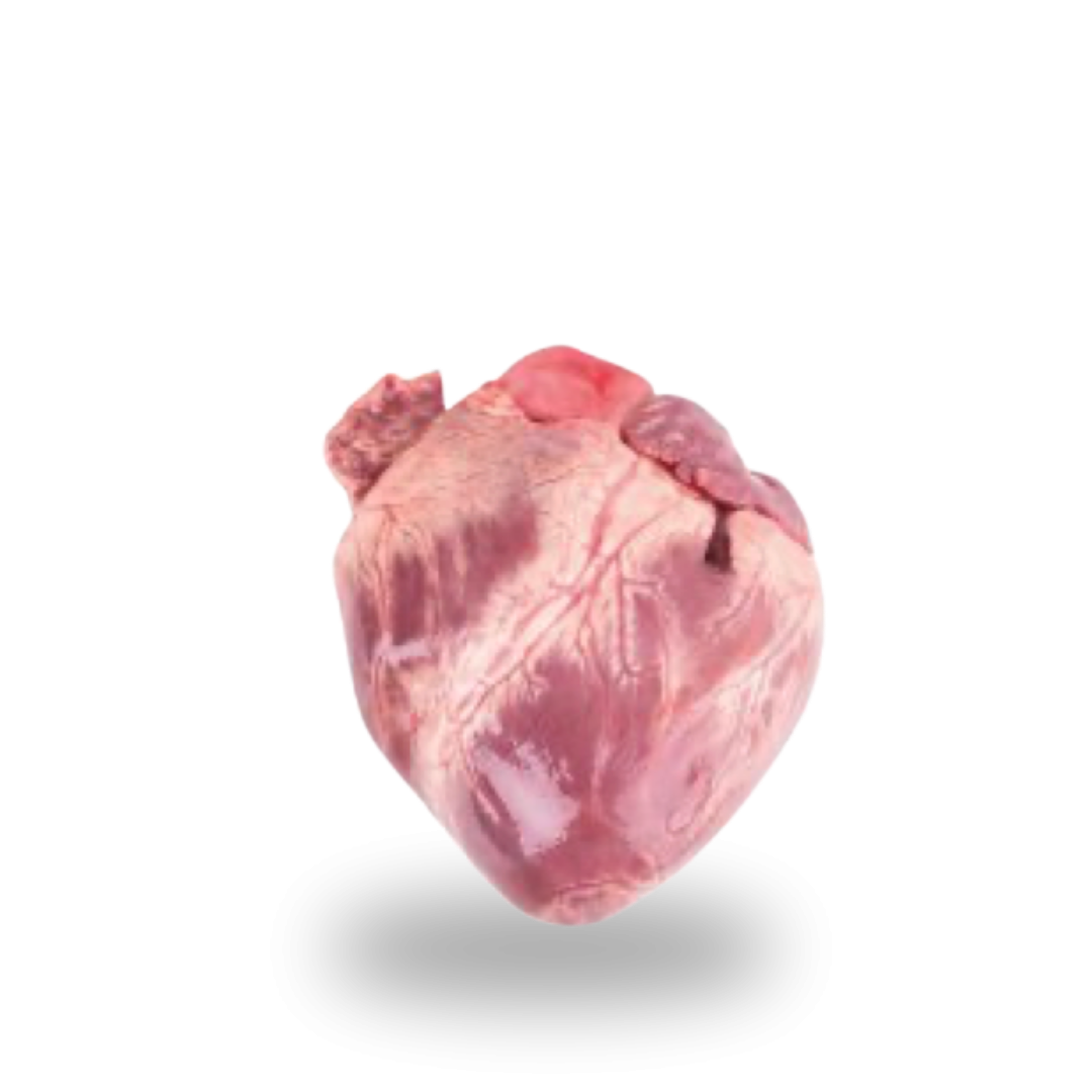 Pork hearts Serca.png