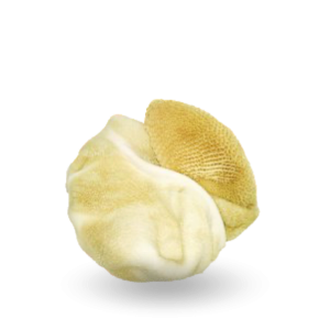 Beef tripes_ Przedżołądki.png