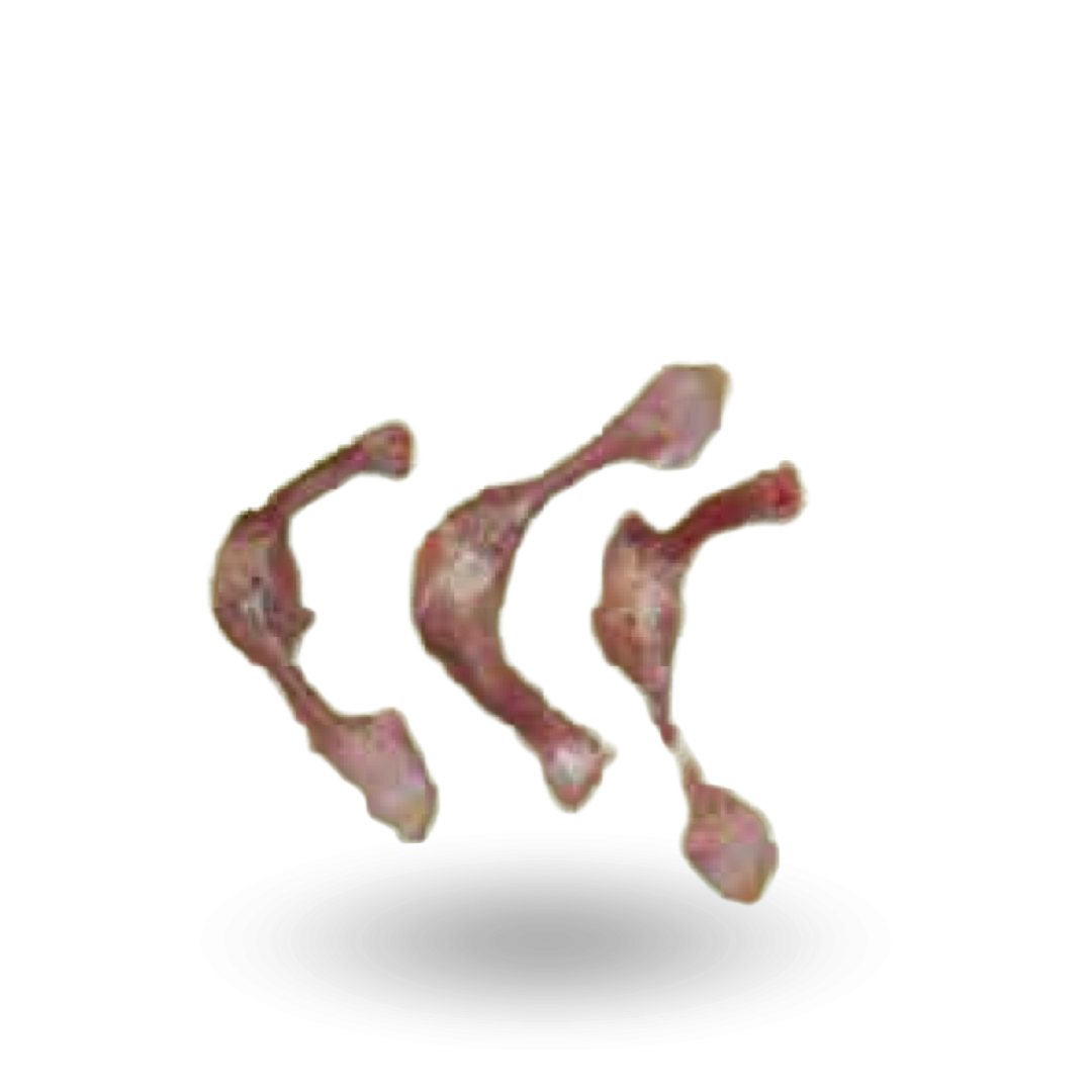 kości z kurczaka.png