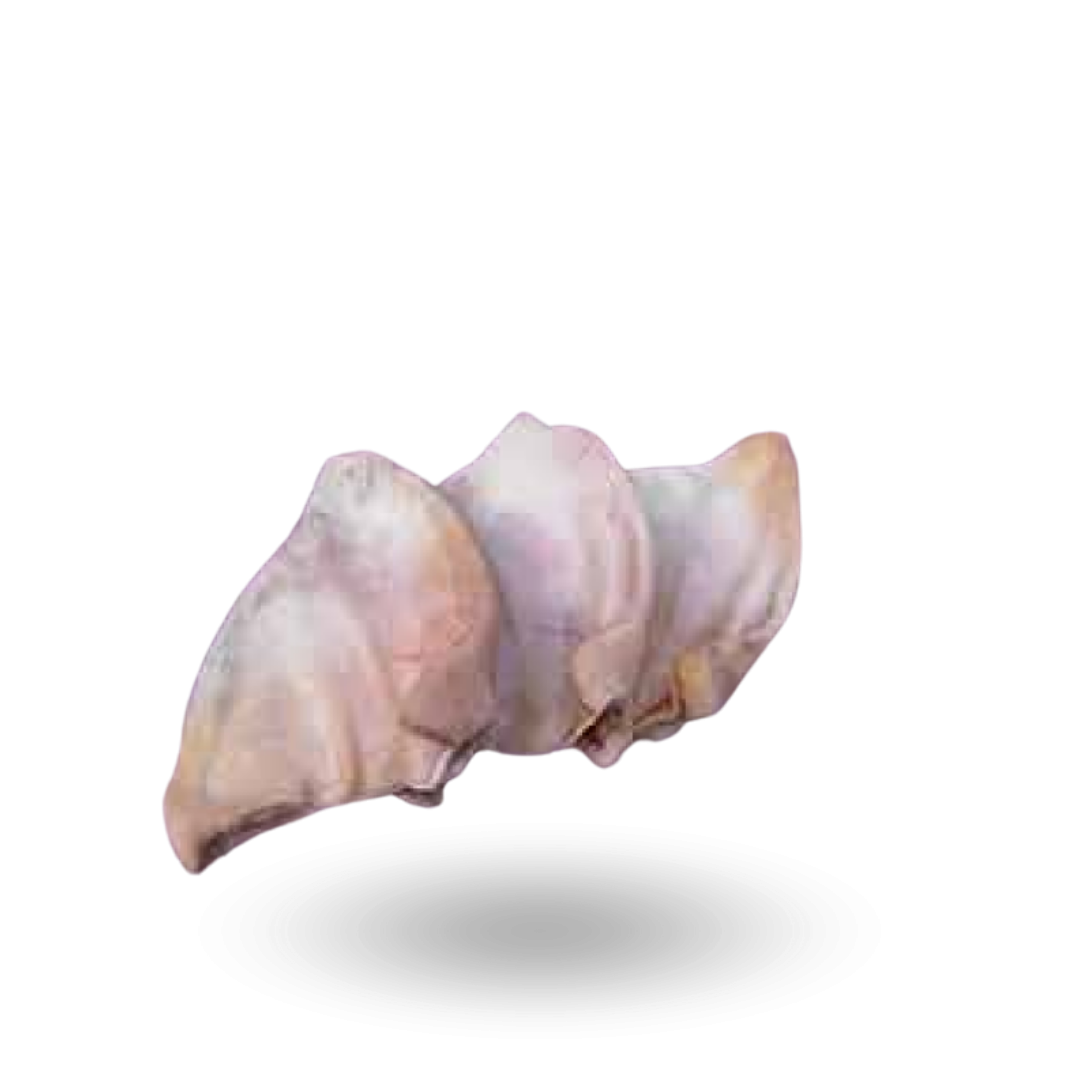 uszy wieprzowe klapy kat. 3.png