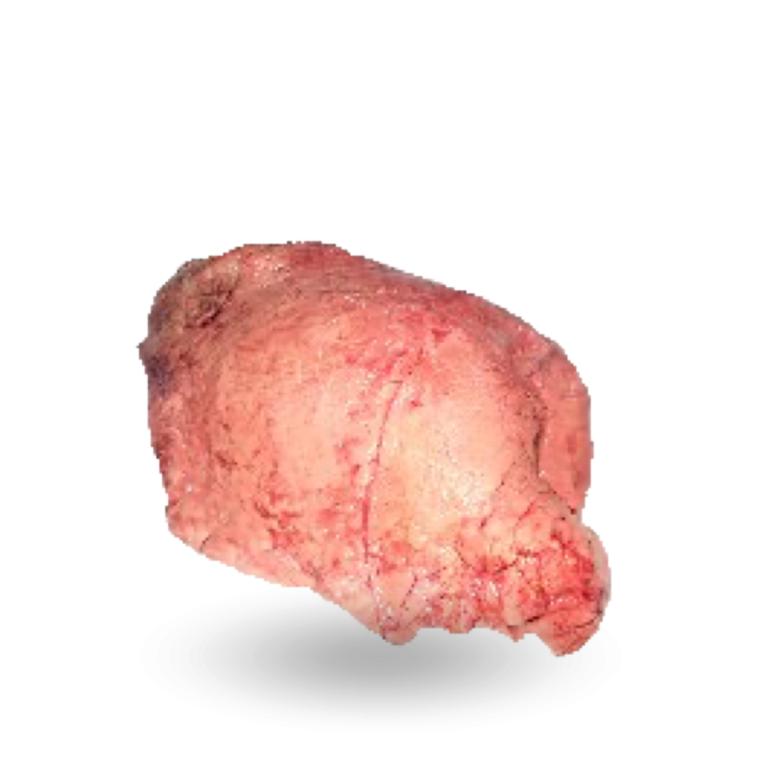 Beef lungs_ Płuca.png