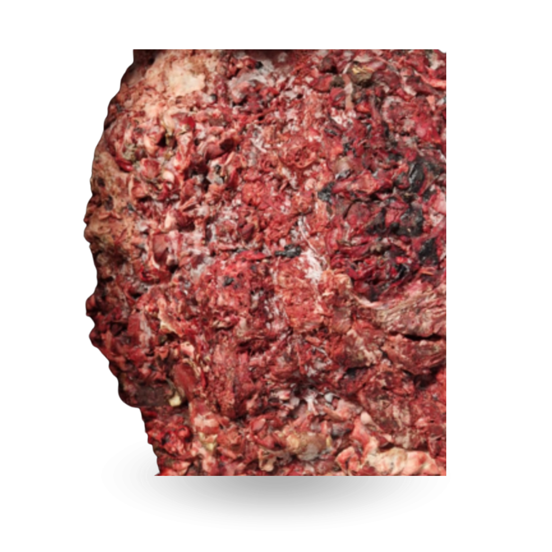 Trimming jeleń.png