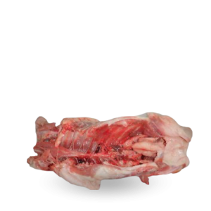 Goose carcass Korpus z gęsi.png